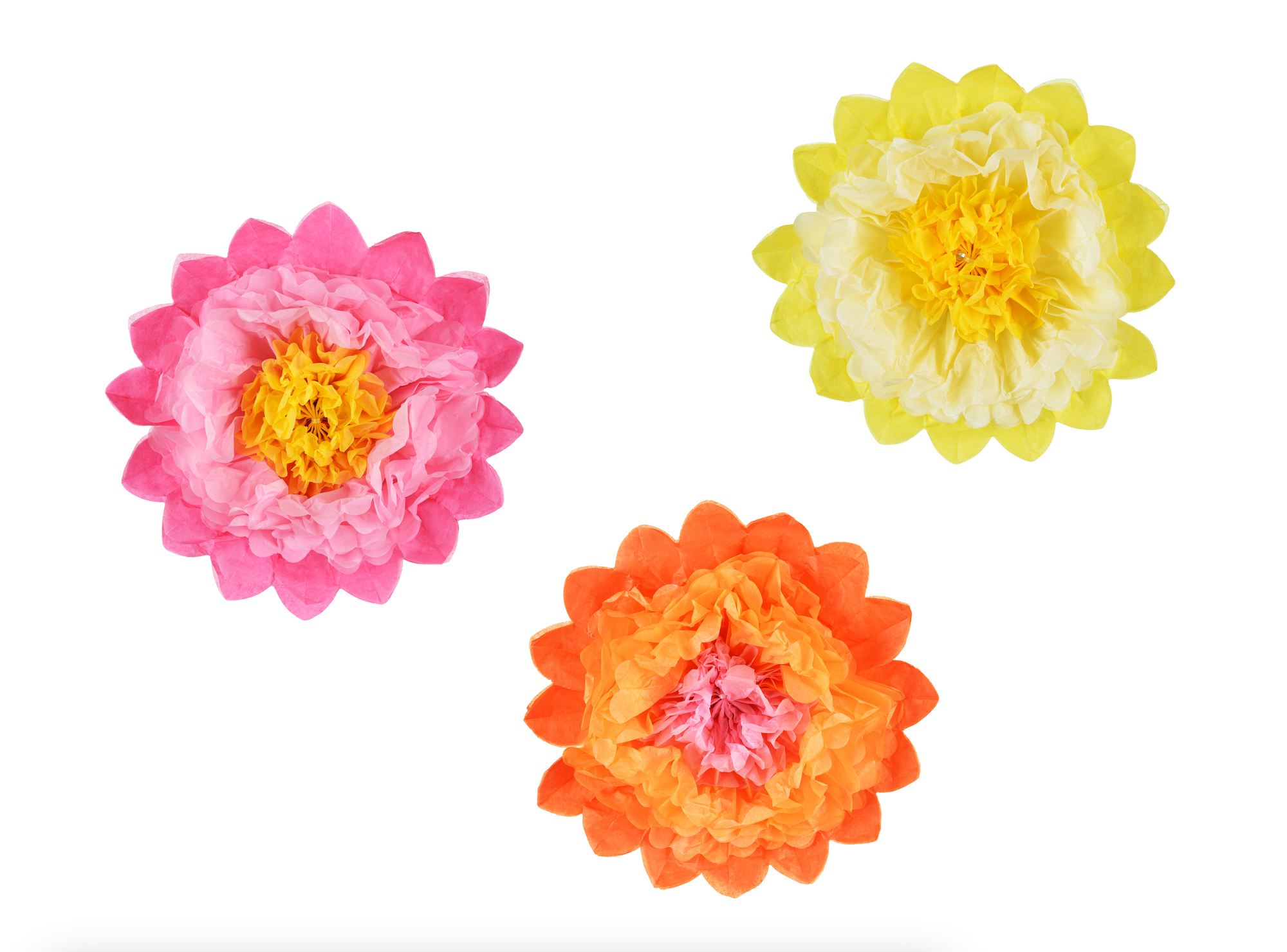 Tissue Paper Flowers Decoration