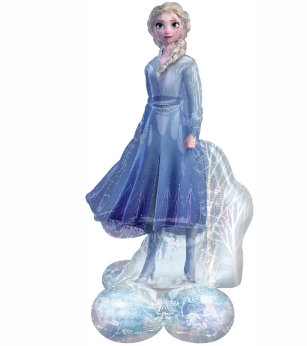 Frozen Theme Balloons Set