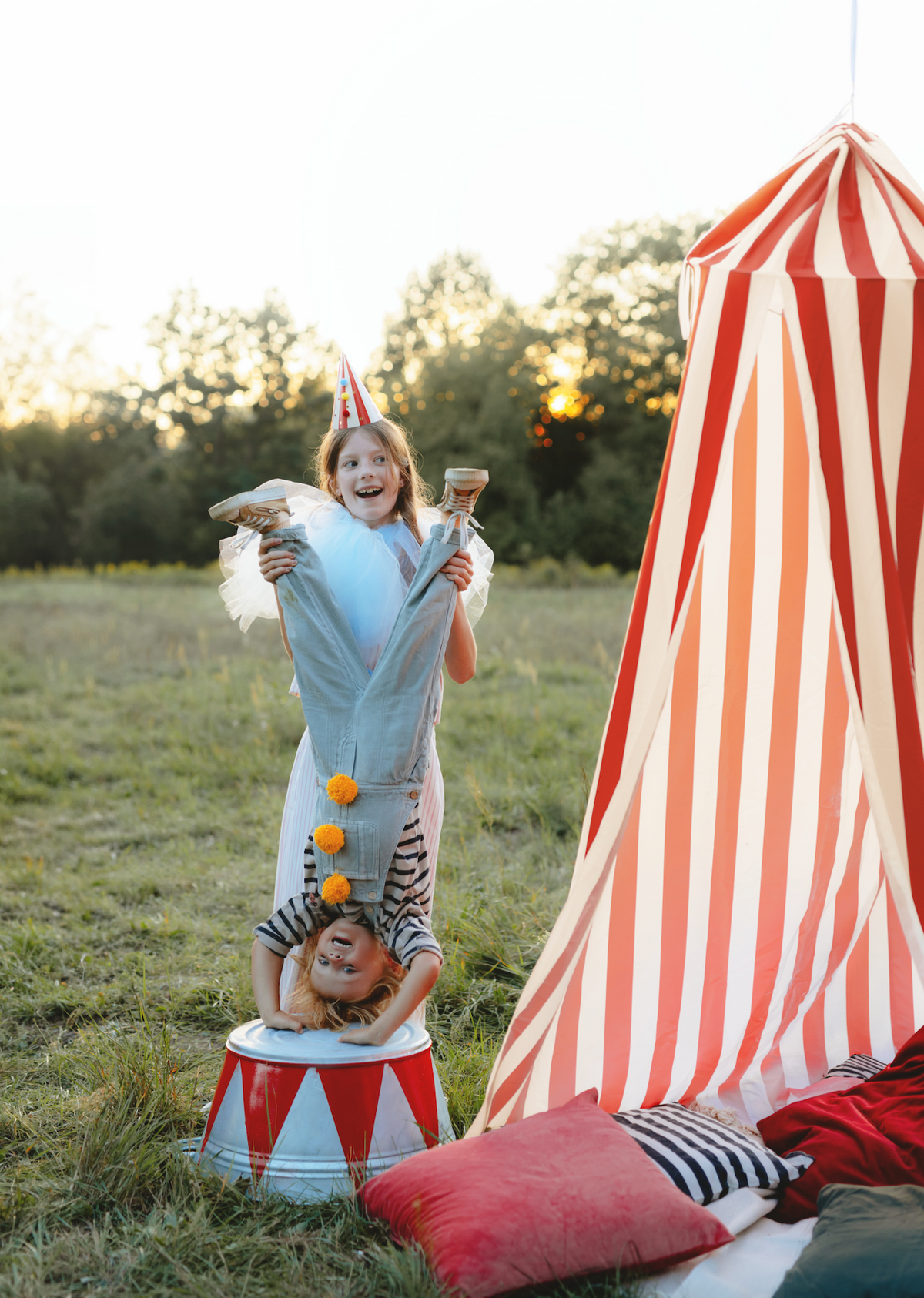 Red &amp; White Circus Decorative Canopy