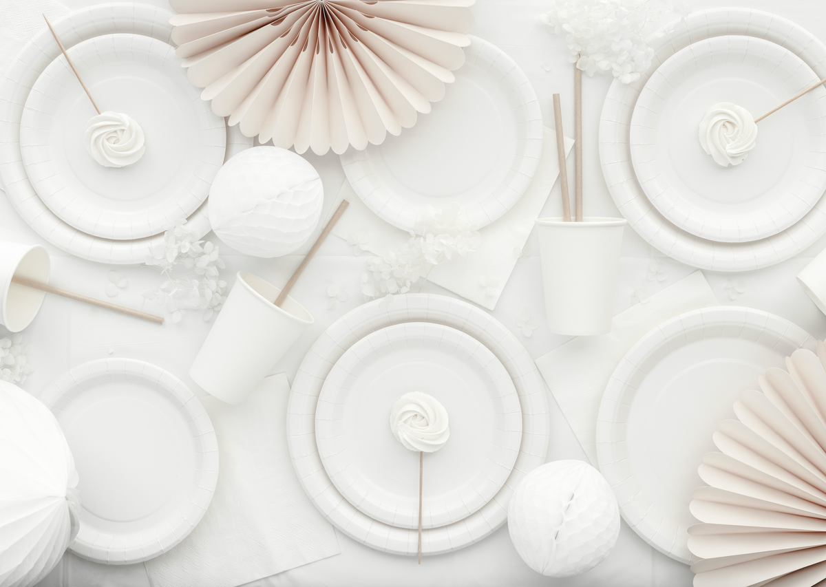 White Paper Plates