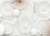 White Paper Plates