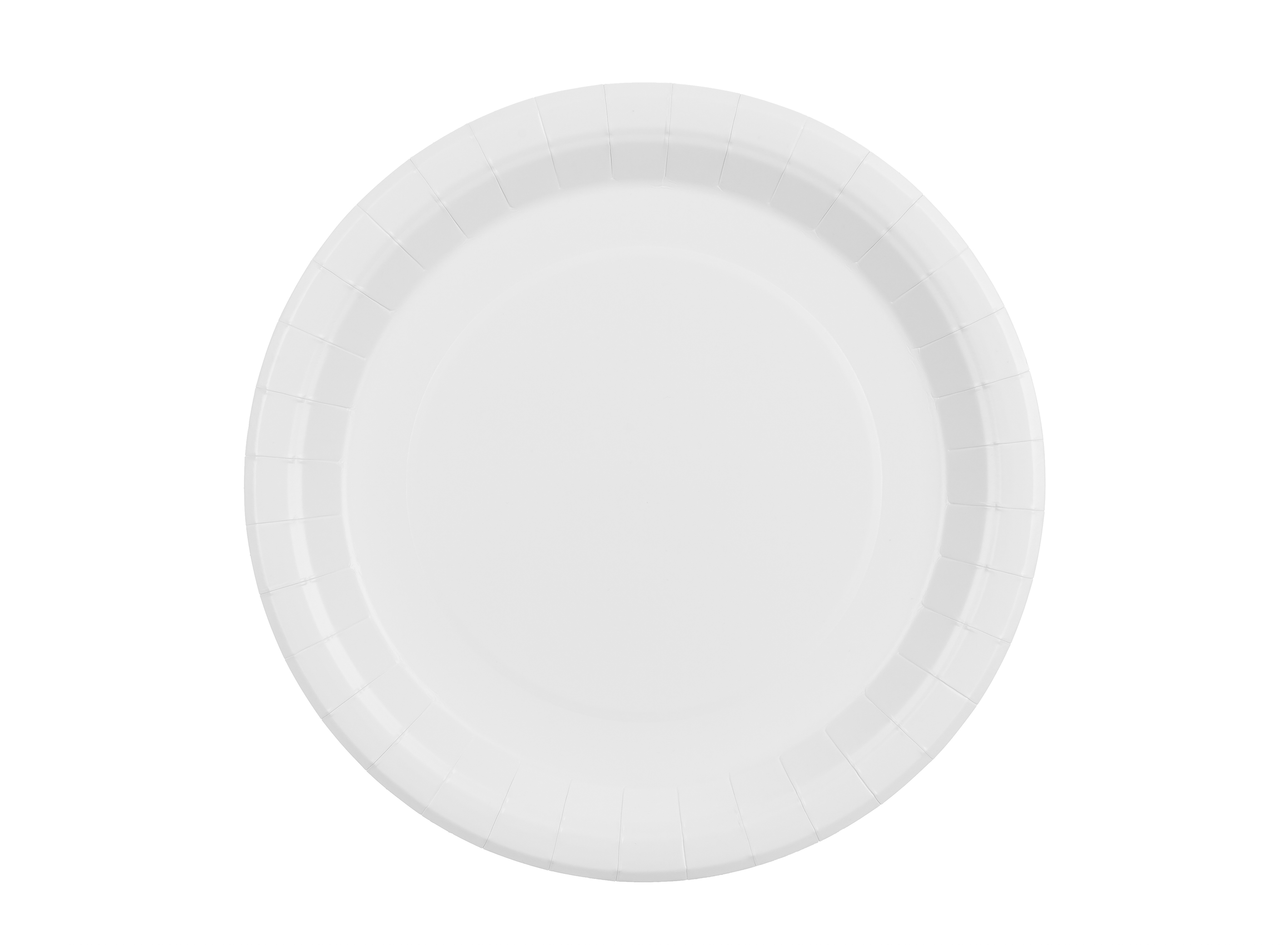 White Paper Plates