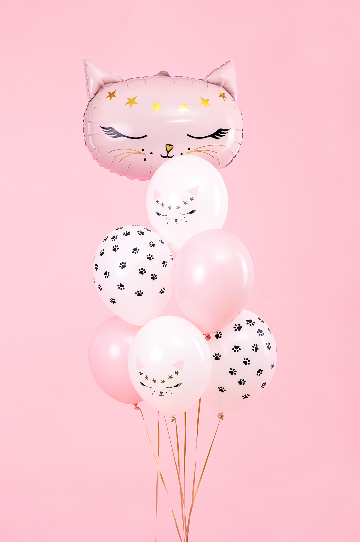 Assorted Cats Latex Balloons