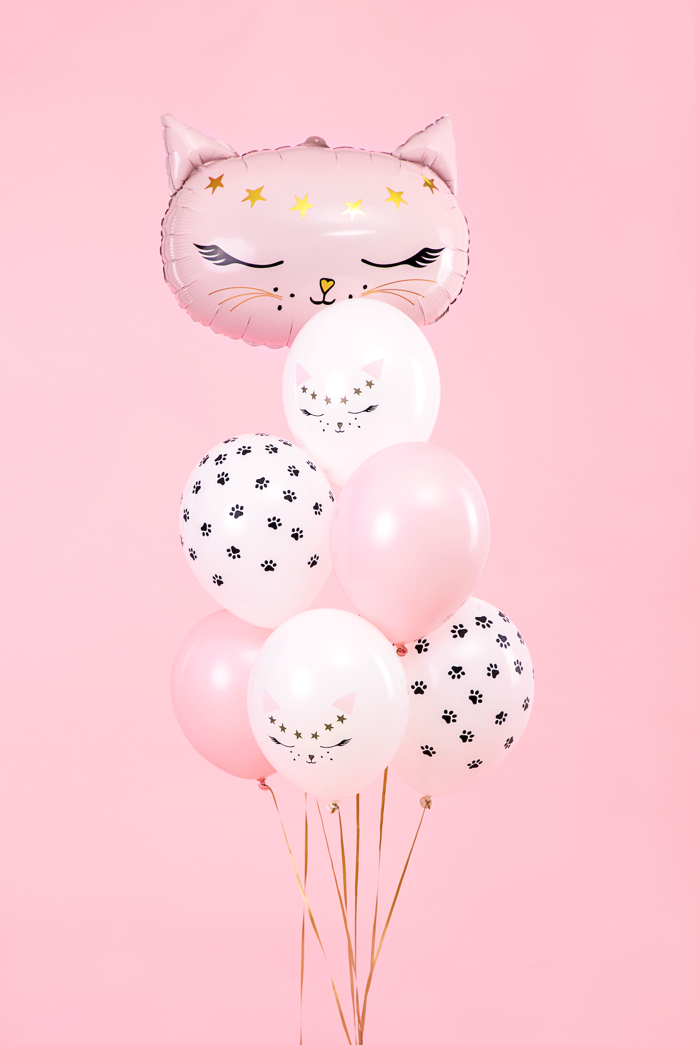 Assorted Cats Latex Balloons