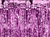 Purple Party Curtain
