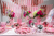 Pink & Red Velvet Clip-on Bow Set