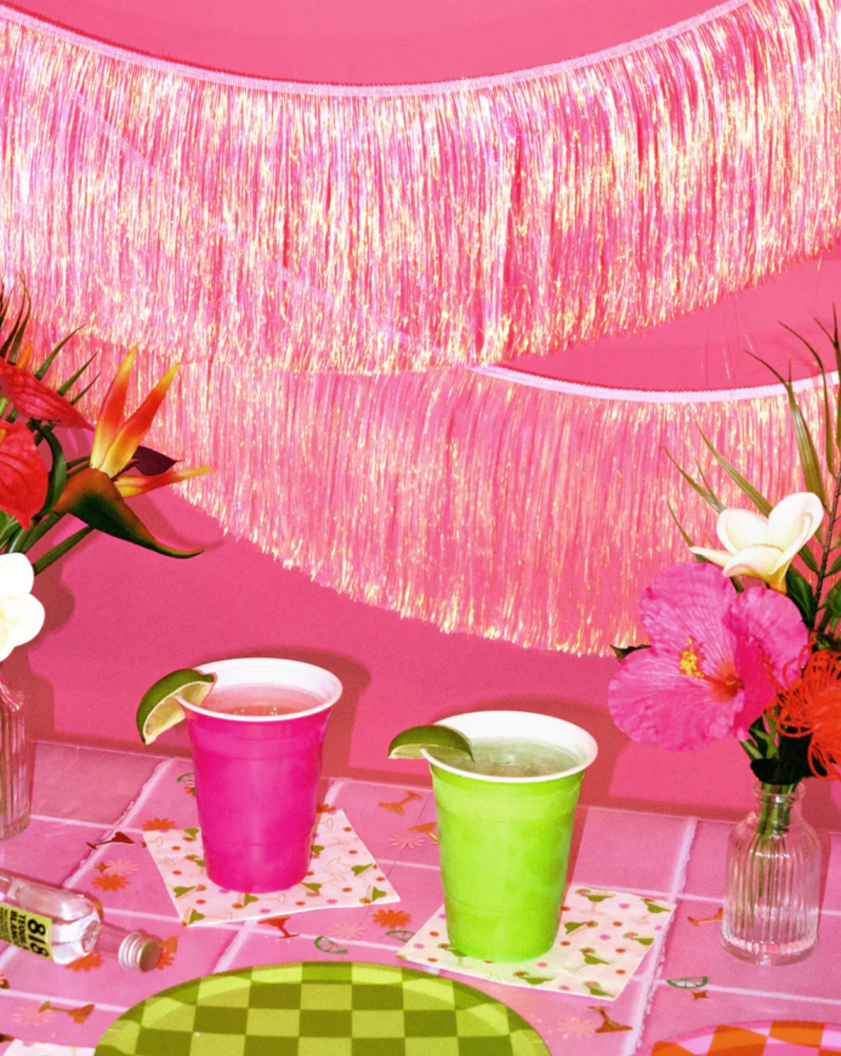 Hot Pink Fringe Banner