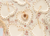 Heart Paper Plates