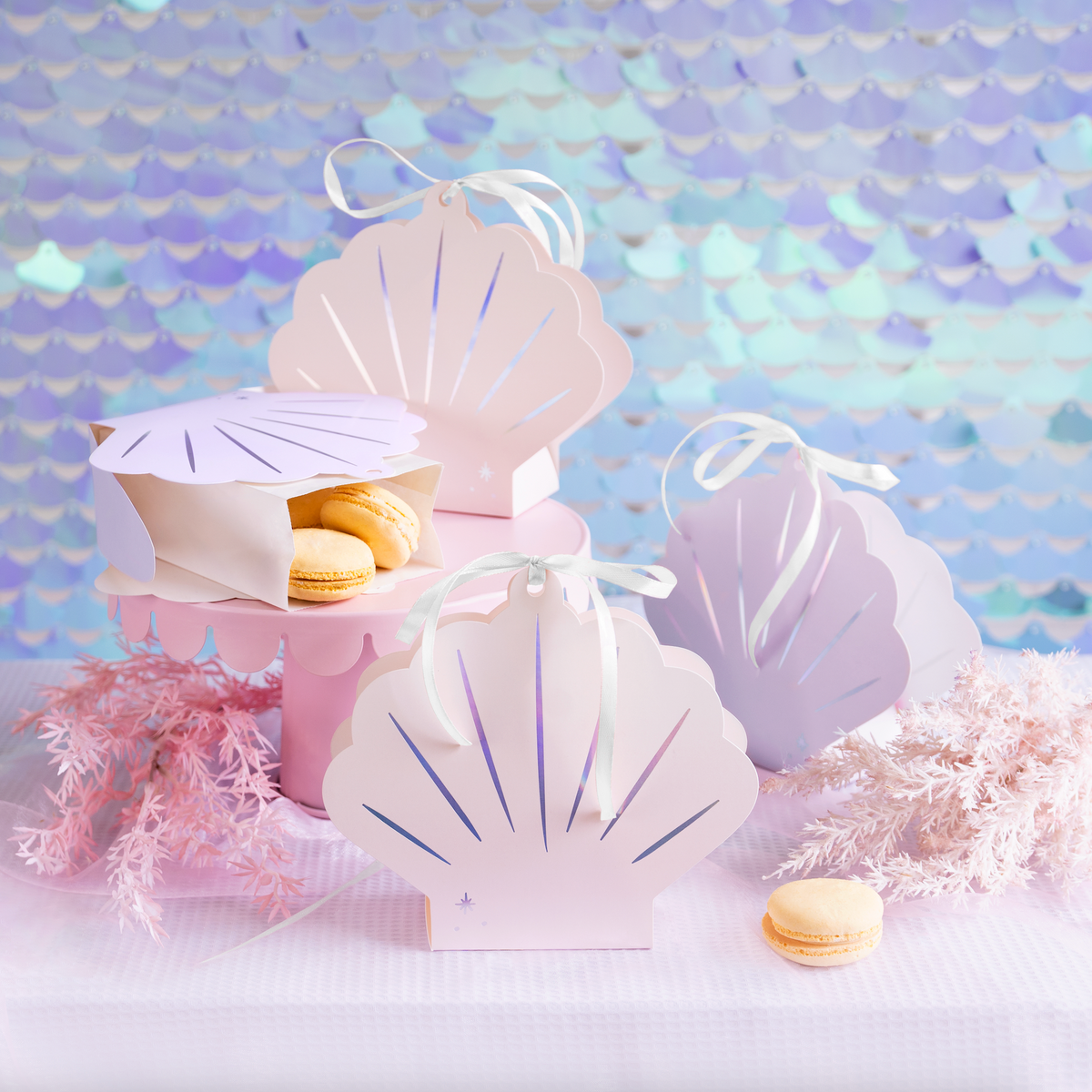 Seashell Treat Boxes