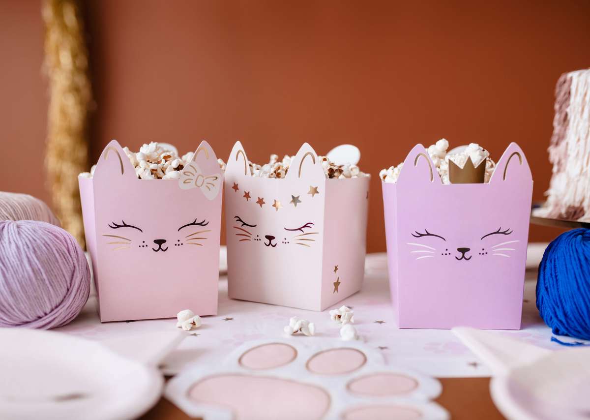 Cat Snack Favor Boxes