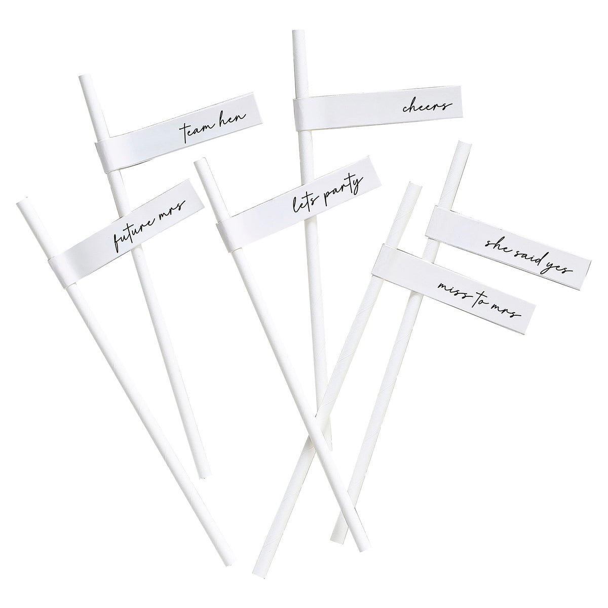 Team Bride Hen Party Paper Straws