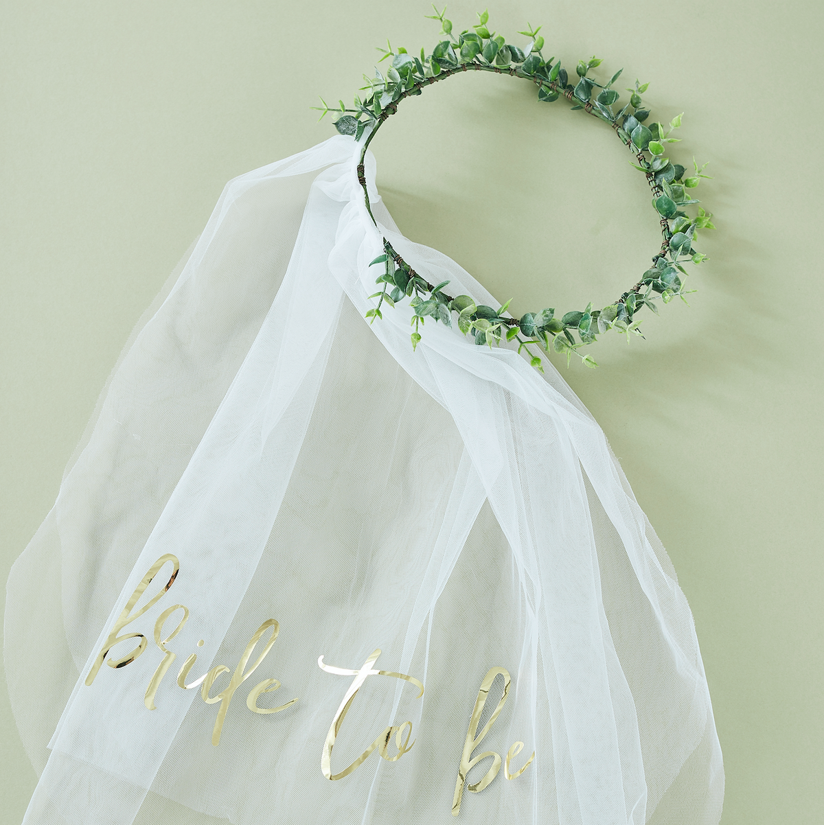 Eucalyptus Bride to Be Veil Headband