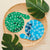 Snappy Swirly Snake Decorations