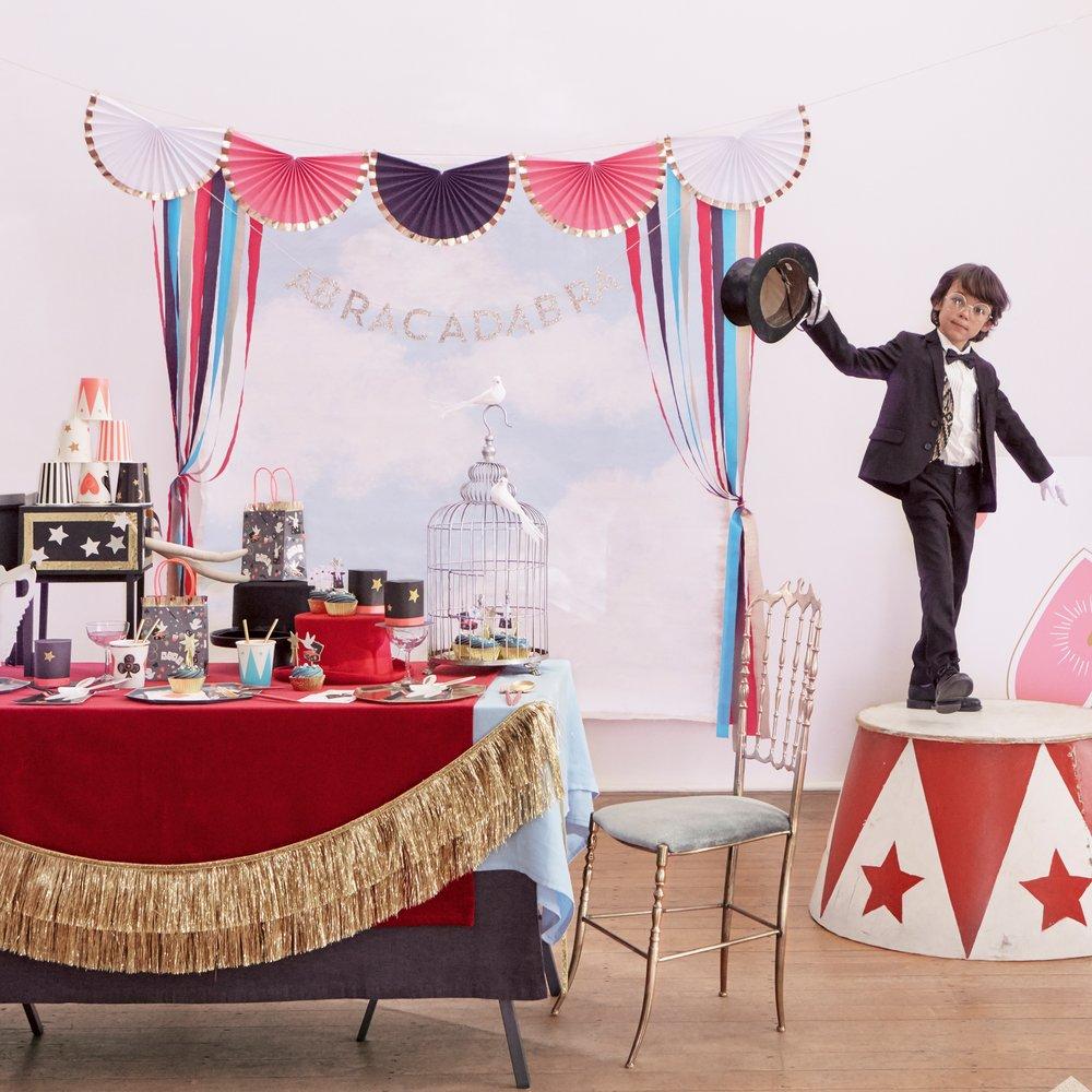 Magic Show Dinner Plates 