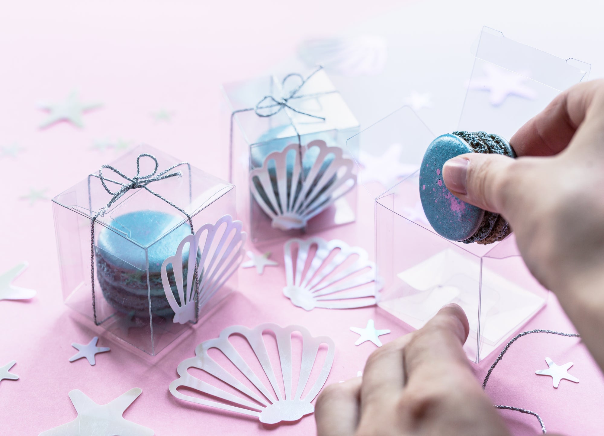 Large Iridescent Seashell Confetti