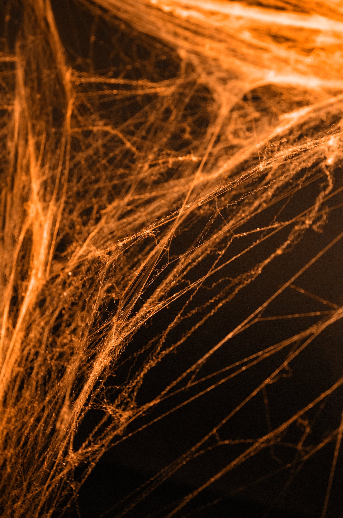 Orange Spider Web Halloween Decoration