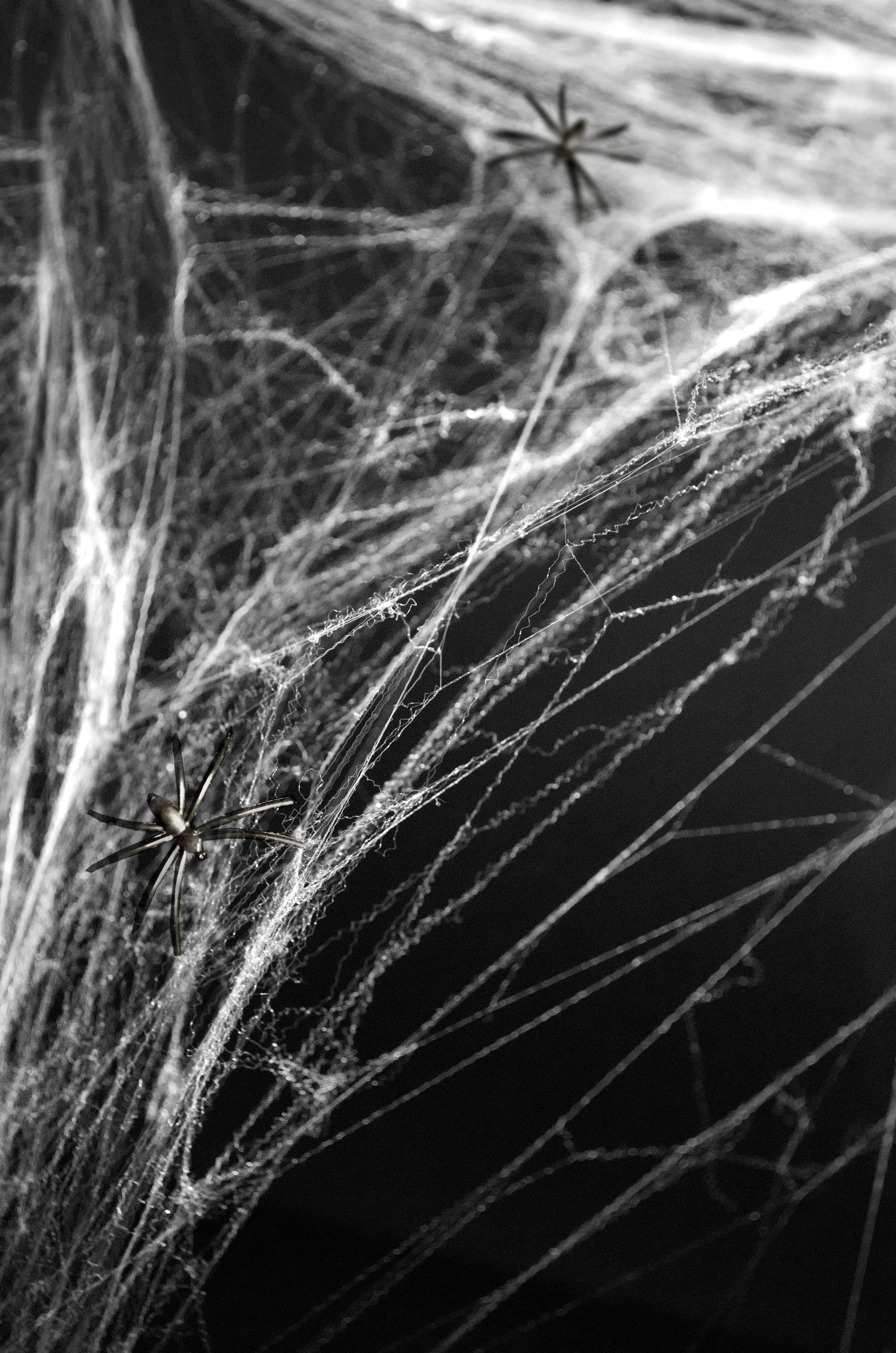 White Spider Web Halloween Decoration