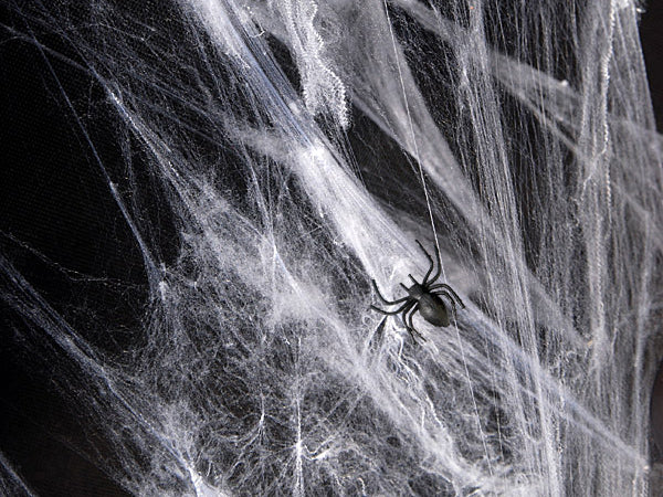 Black Halloween Plastic Spiders 