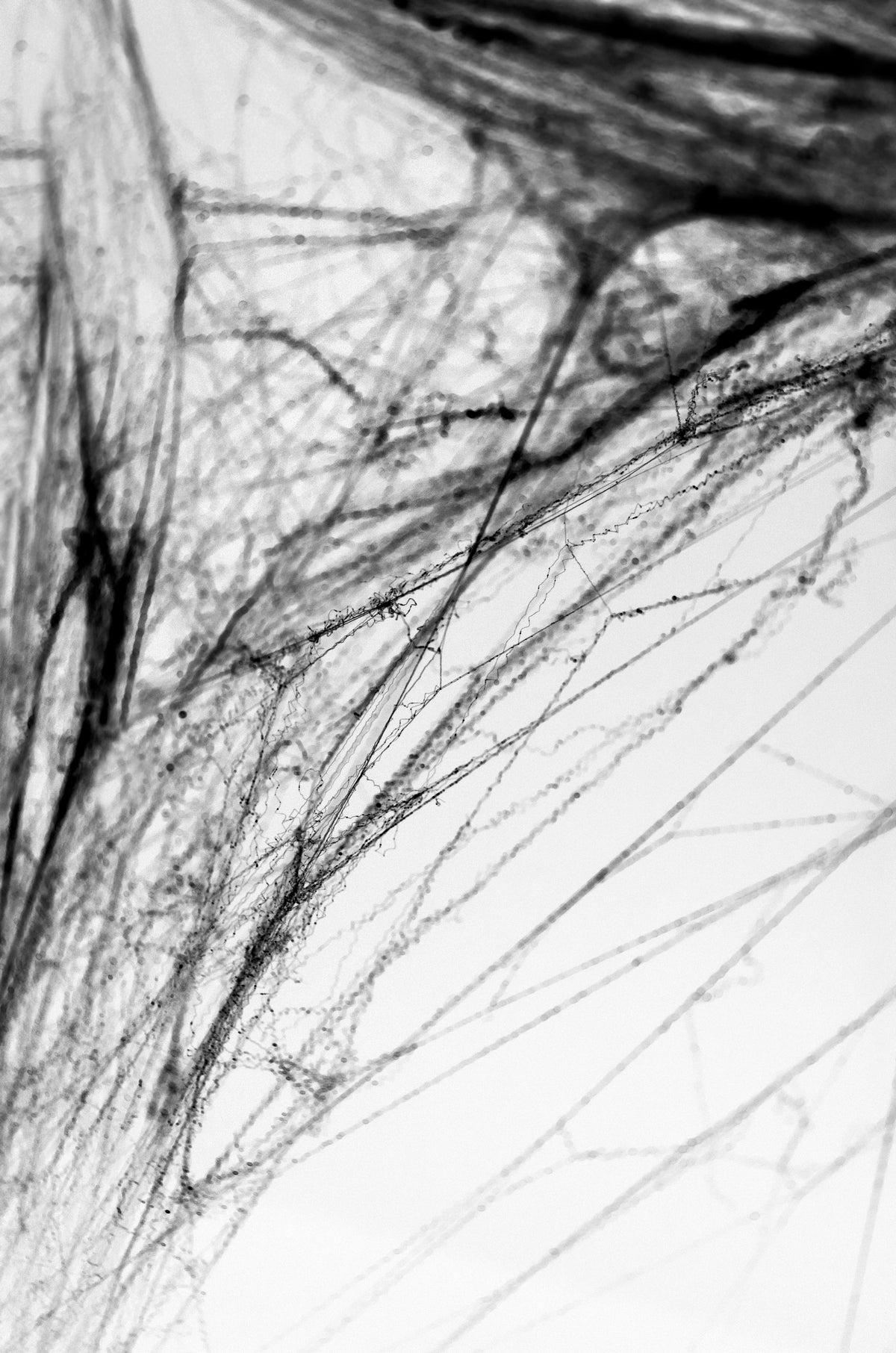 Black Spiderweb Halloween Decoration