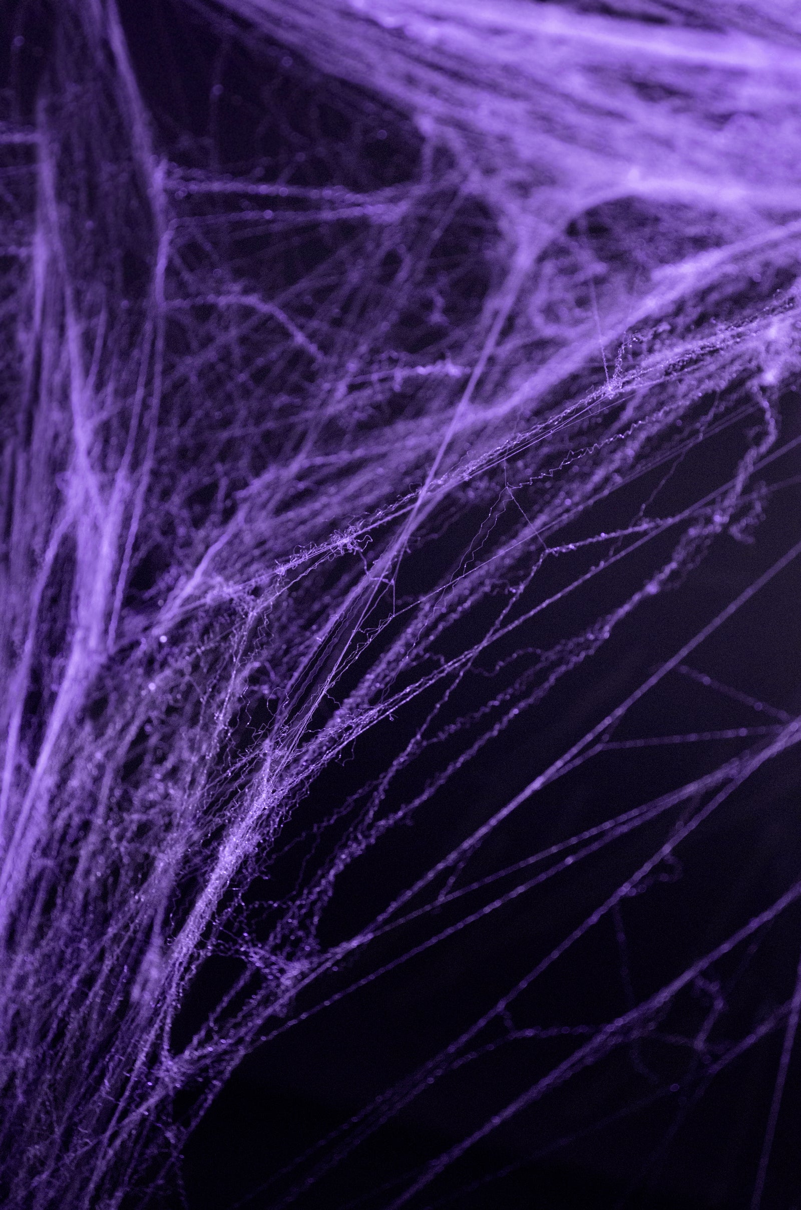 Violet Spider Web Halloween Decoration