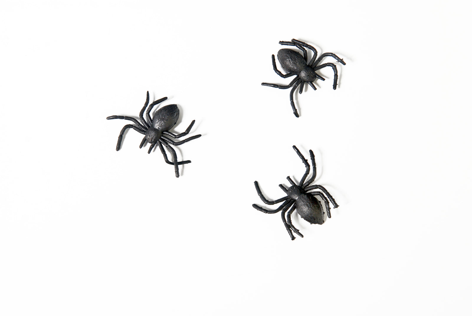 Black Halloween Spiders 
