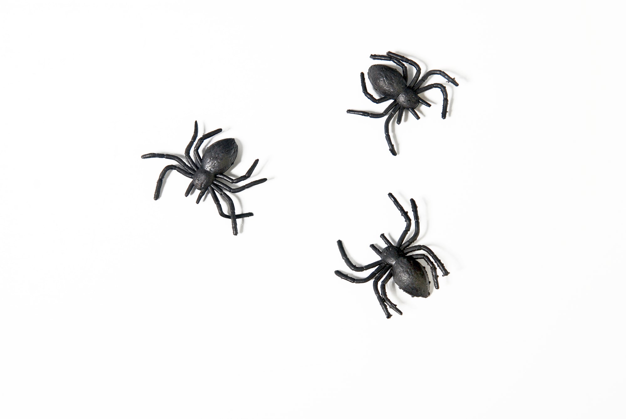Black Halloween Spiders 