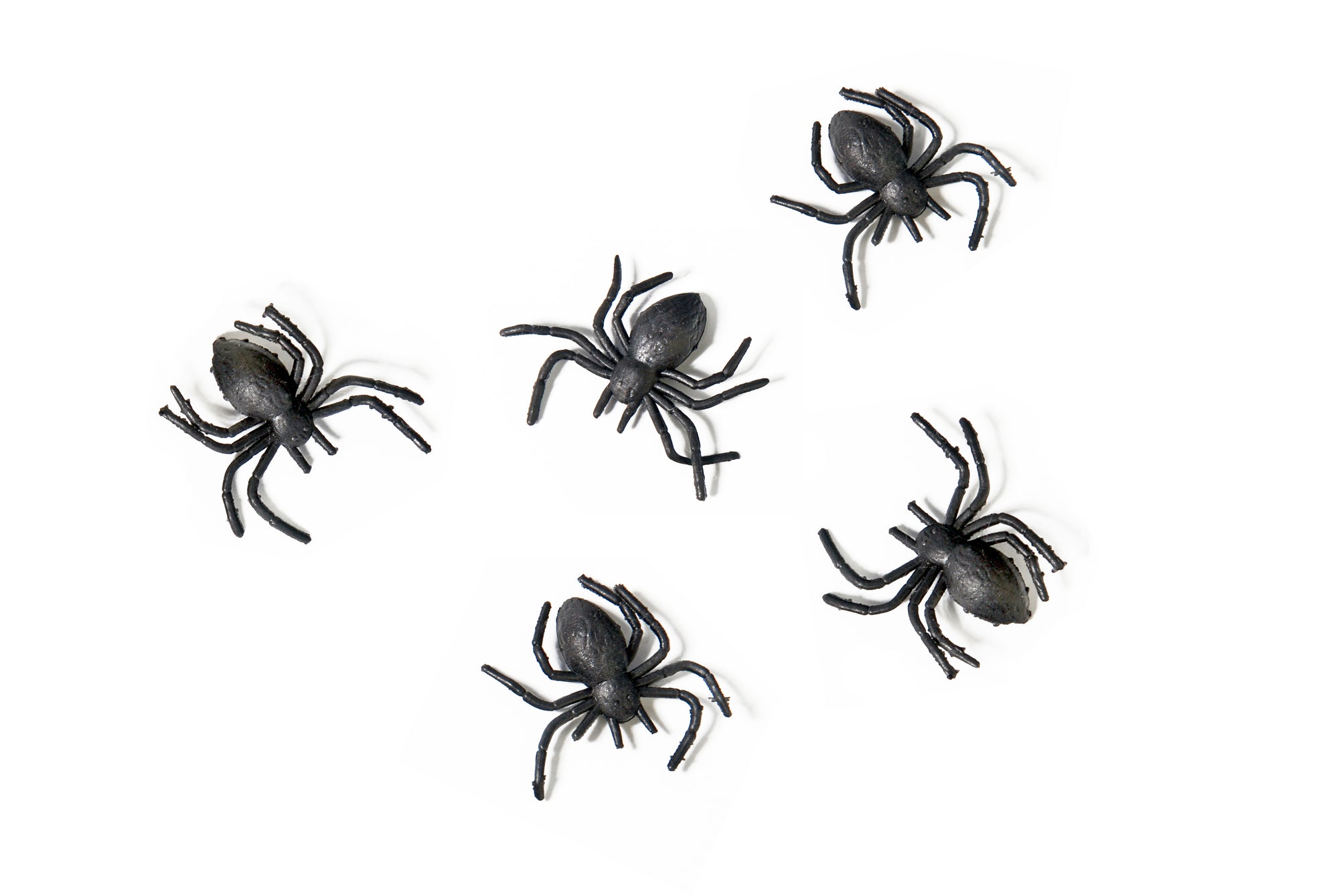 Black Halloween Spiders 