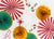 Mix Decorative Party Fans