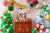 Mix Decorative Party Fans