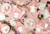 Fairy Cupcake Decorating Kit 