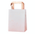 PINK OMBRE WATERCOLOUR ROSE GOLD PARTY BAGS