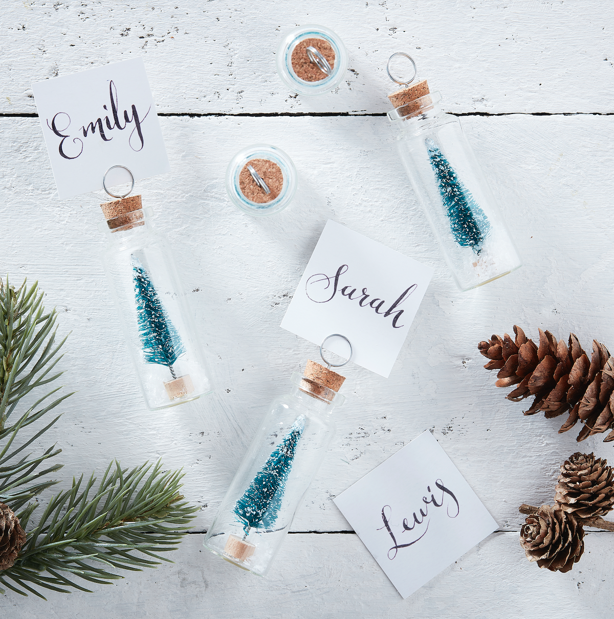 Glass Mini Brush Tree Place Card Holders