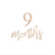 Wooden Pregnancy & Baby Milestone Signs