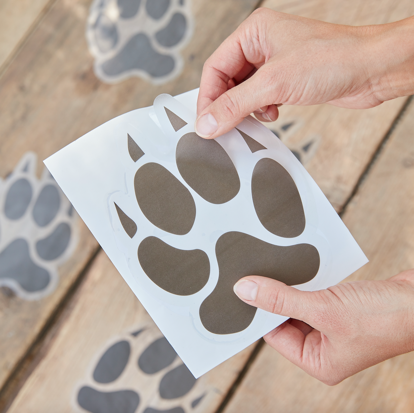Animal Pawprint Floor Stickers