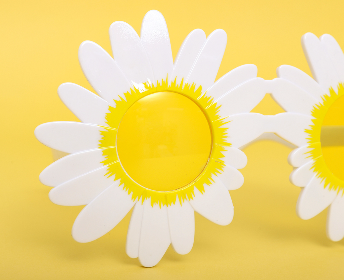 Daisy Flower Glasses