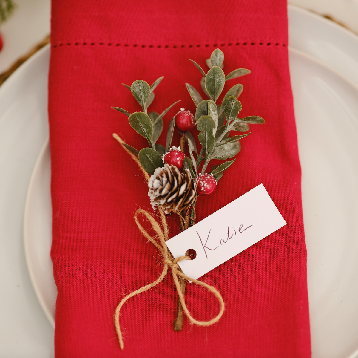 Red Berry Sprig Place Card Holders