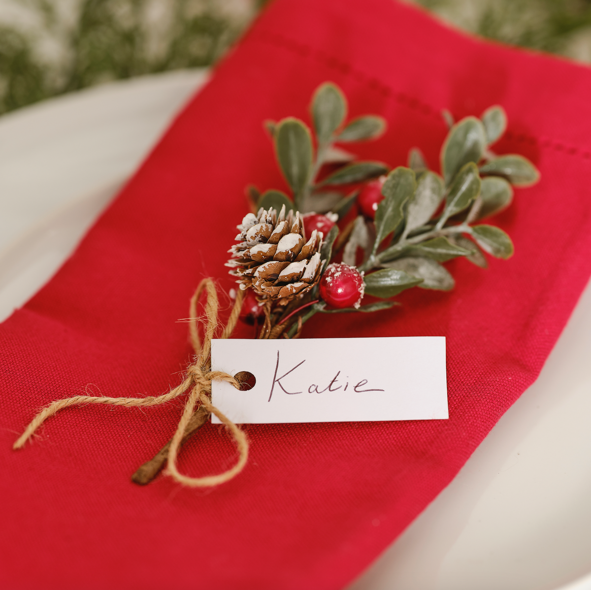 Red Berry Sprig Place Card Holders