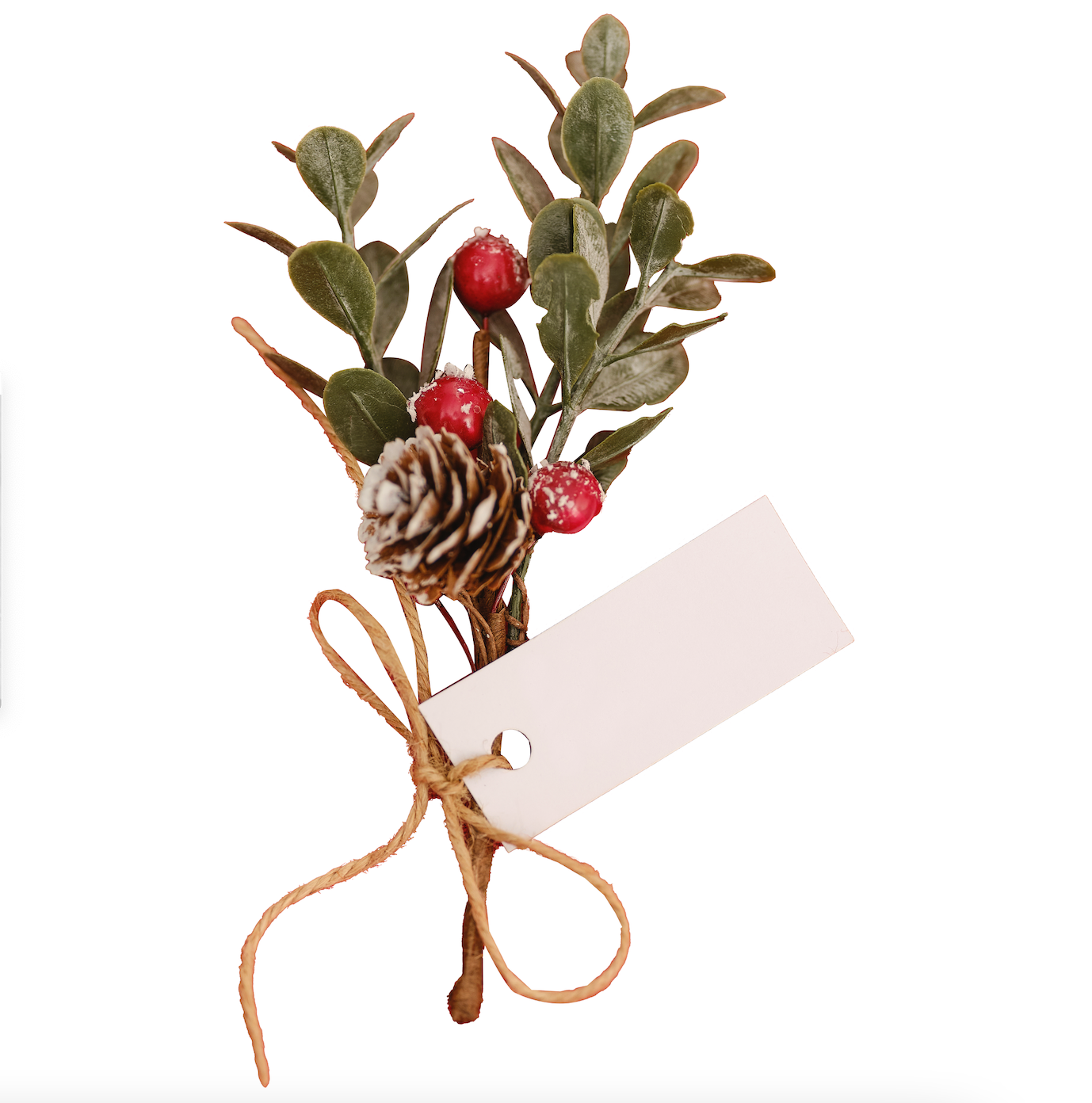 Red Berry Sprig Place Card Holders