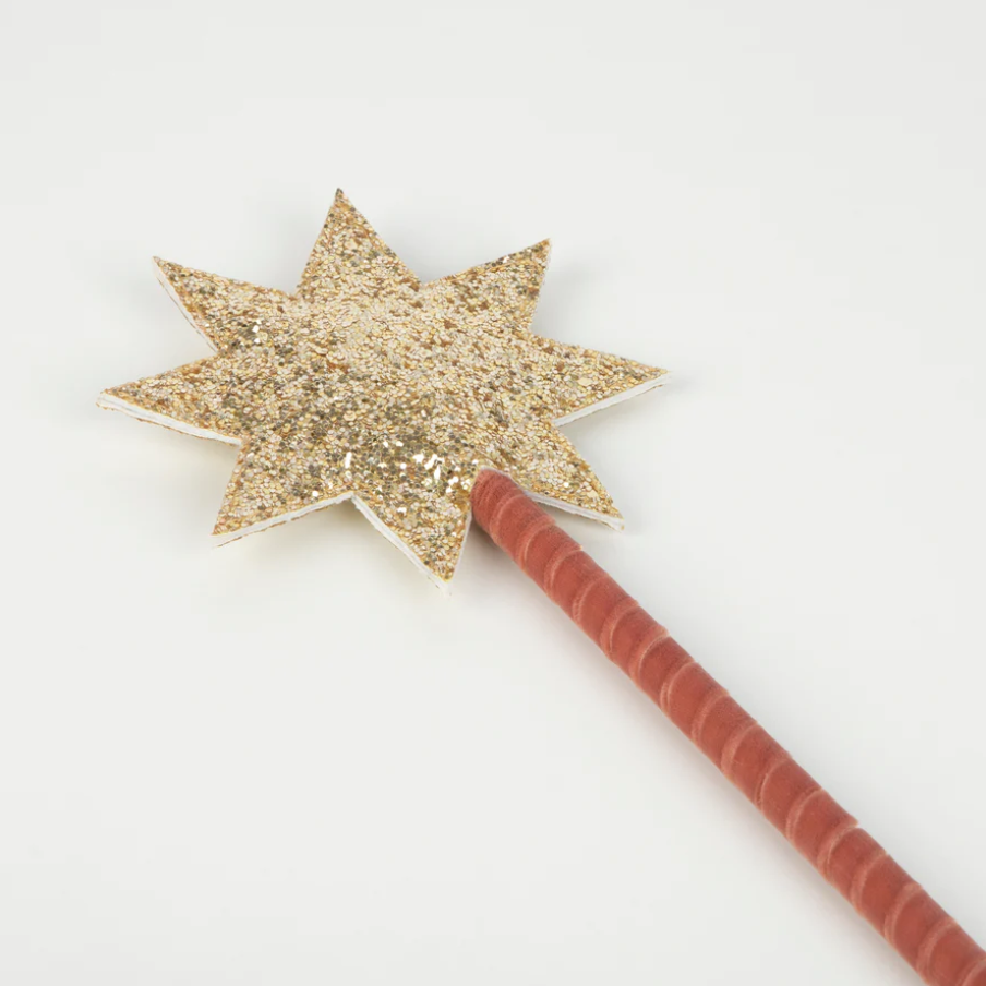 Pink Velvet Wizard Costume