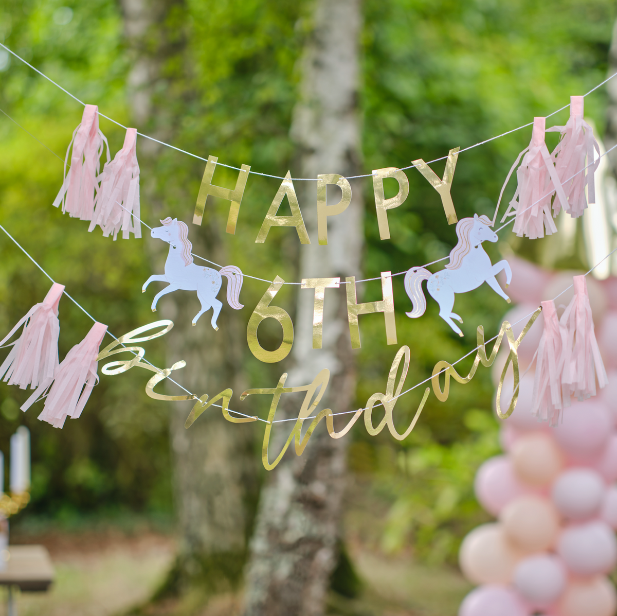 Customizable Princess Happy Birthday Party Bunting