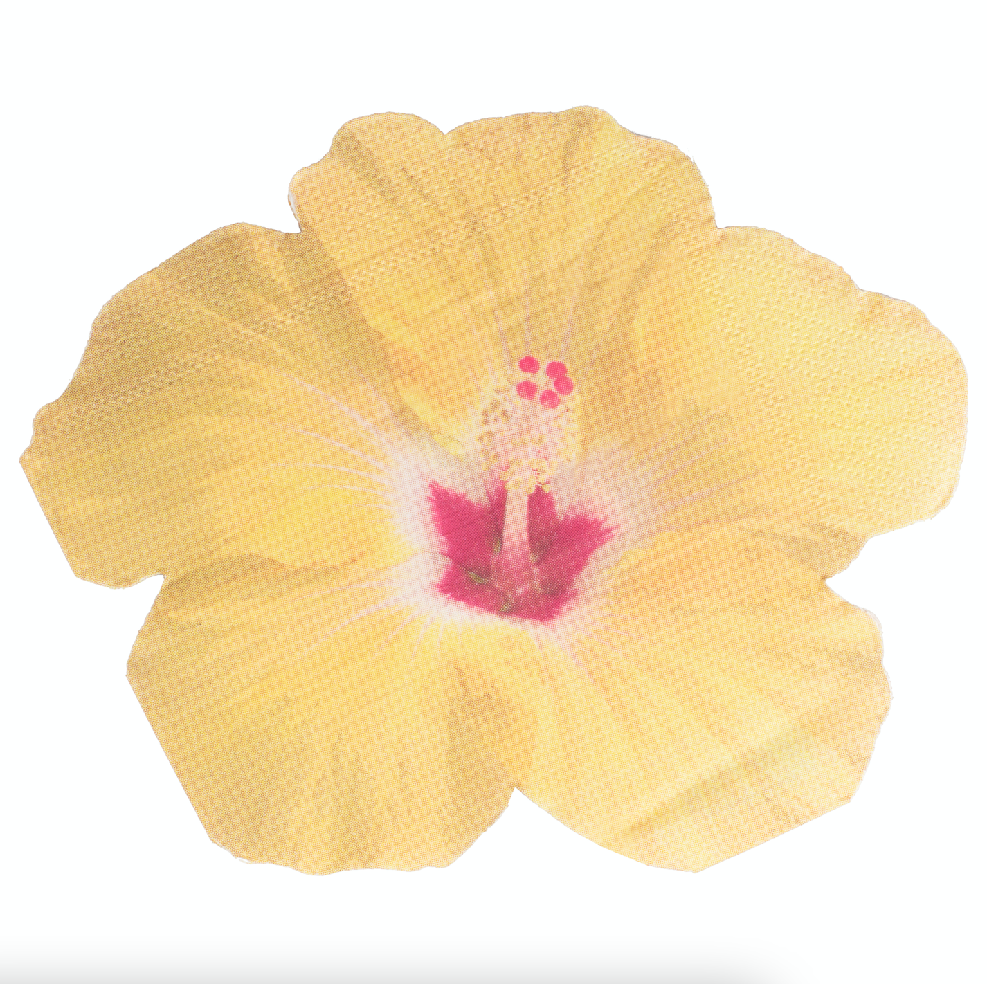 Hawaiian Tiki Tropical Flower Paper Party Napkins
