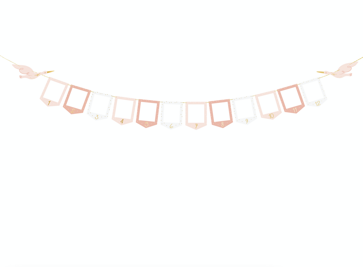 Stork Photo Frame Garland