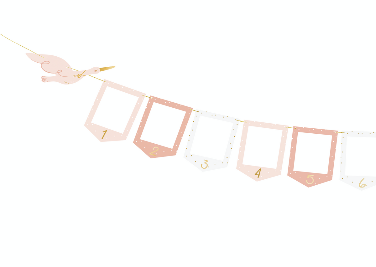 Stork Photo Frame Garland