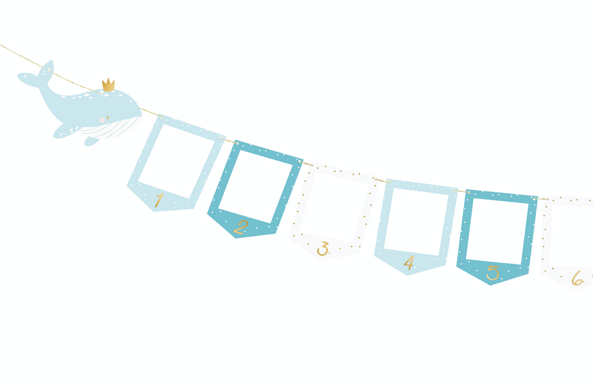 Whale Photo Frame Garland  