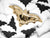 Gold Bat Plates