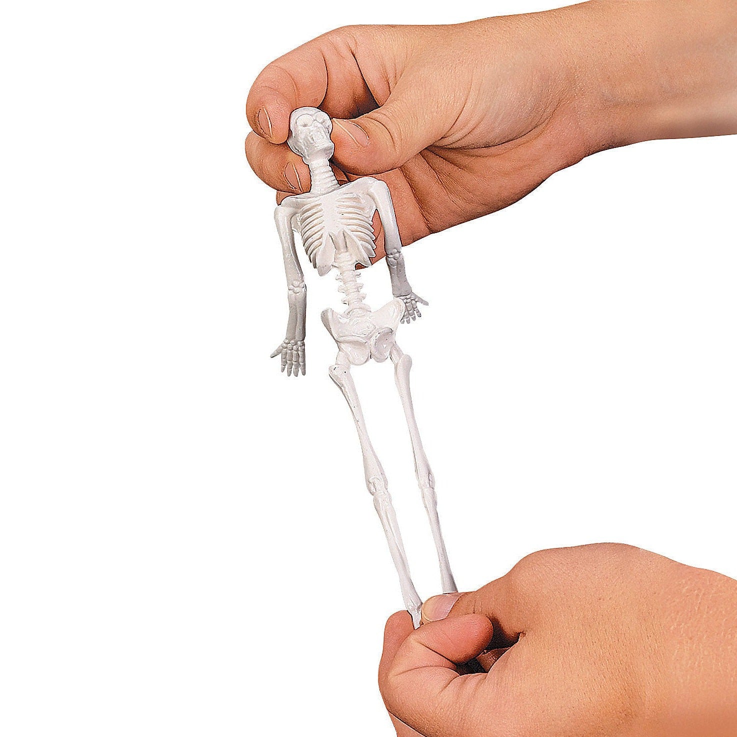 Halloween Stretchy Skeletons 